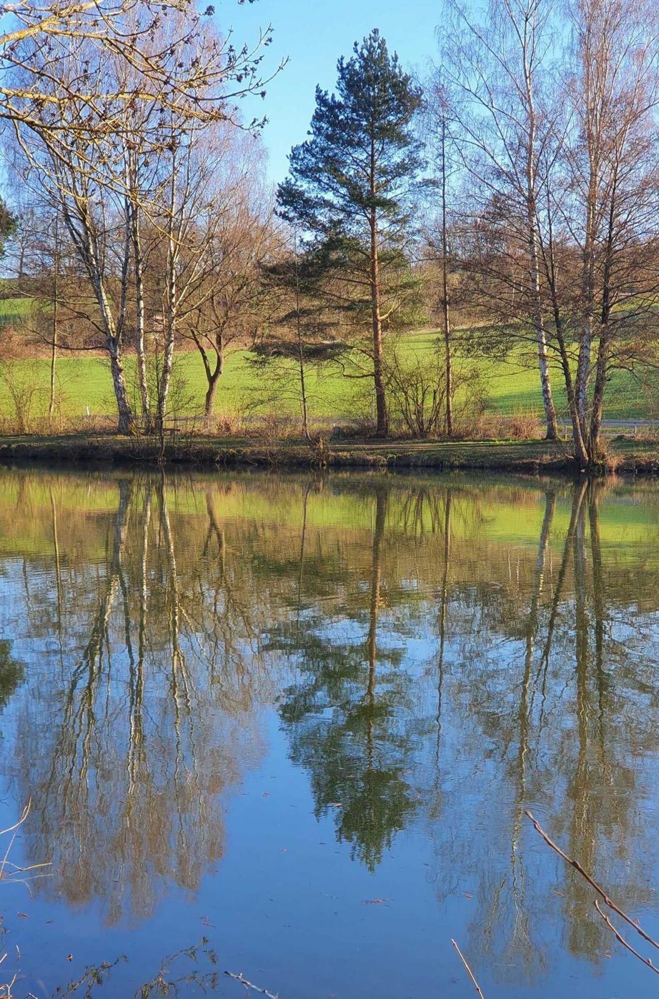 Kleinod Am Kurpark Bad Zwesten Exterior foto