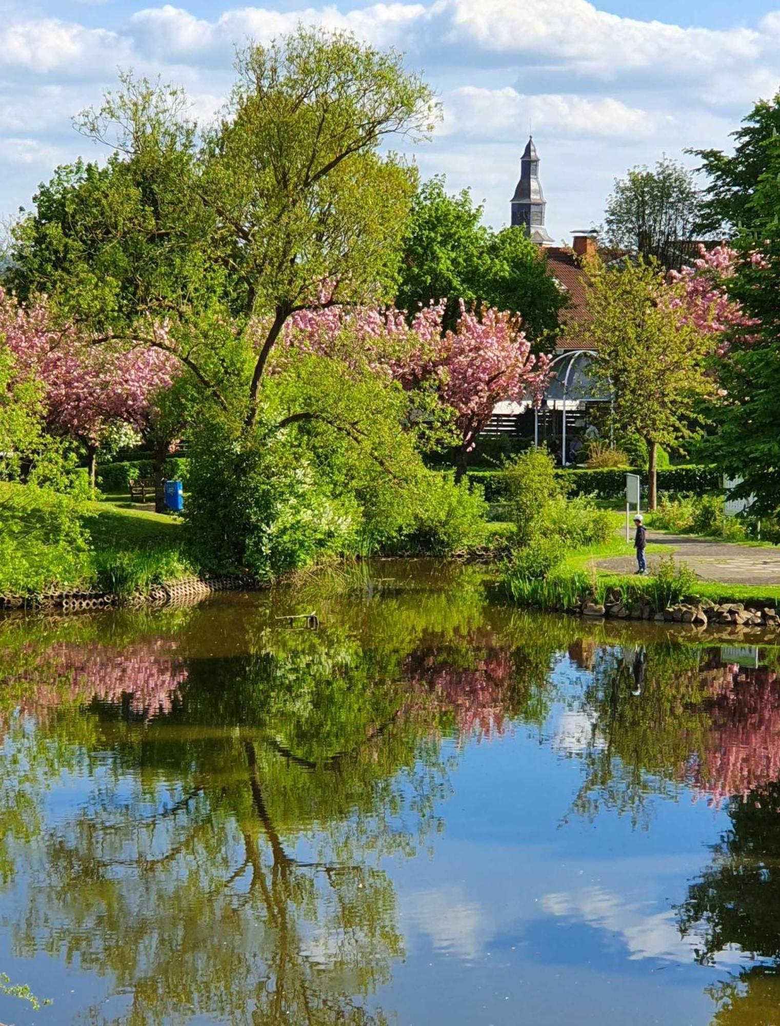 Kleinod Am Kurpark Bad Zwesten Exterior foto